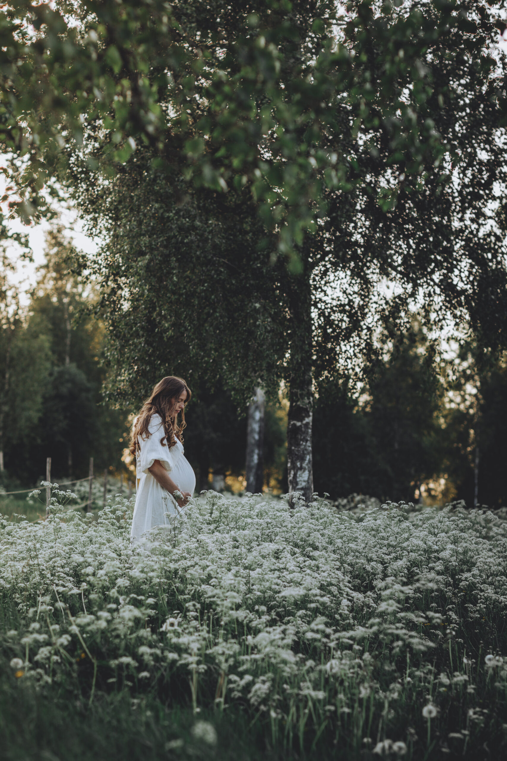 Gravidbilder på äng med blommor