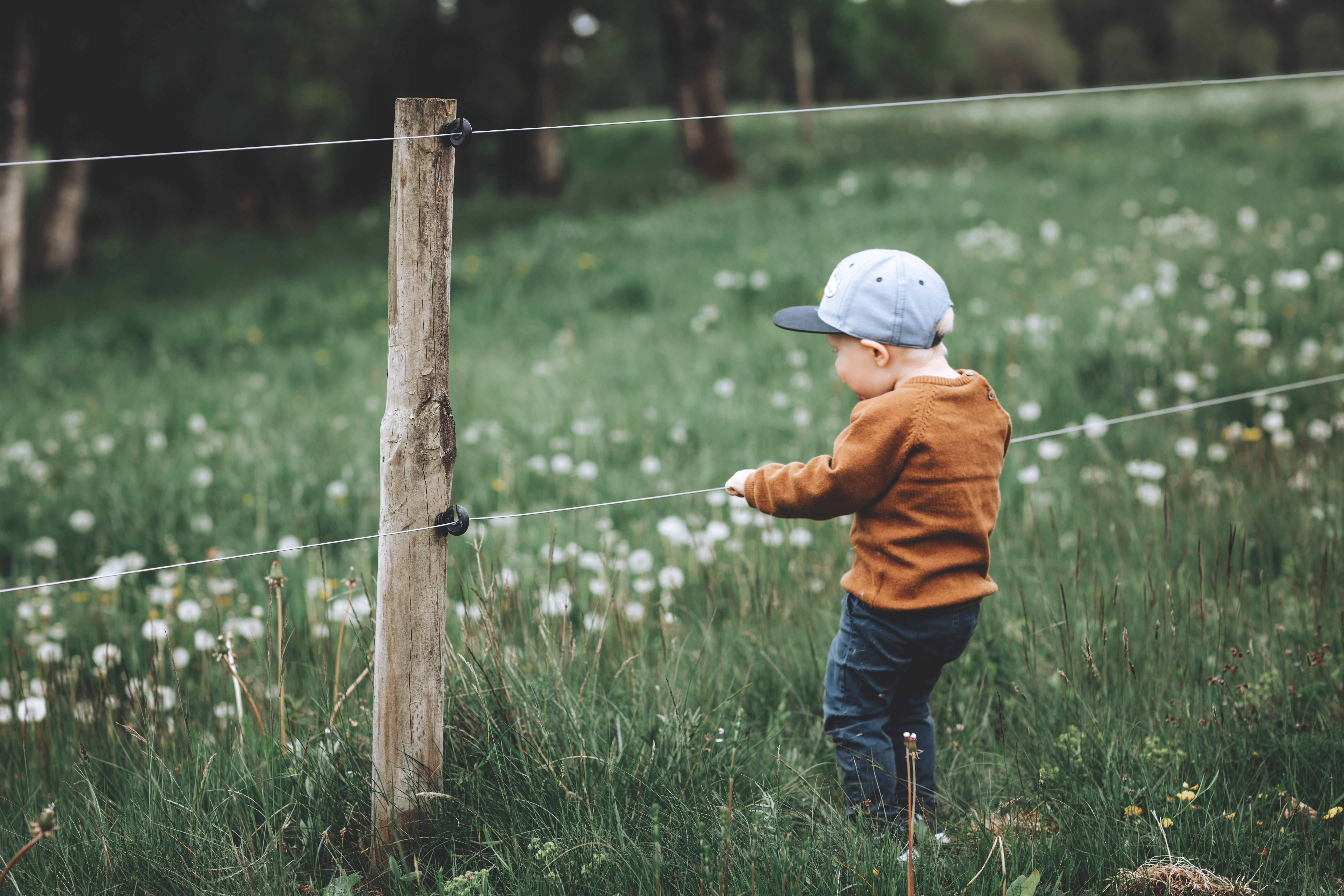 Barnfotografering på äng